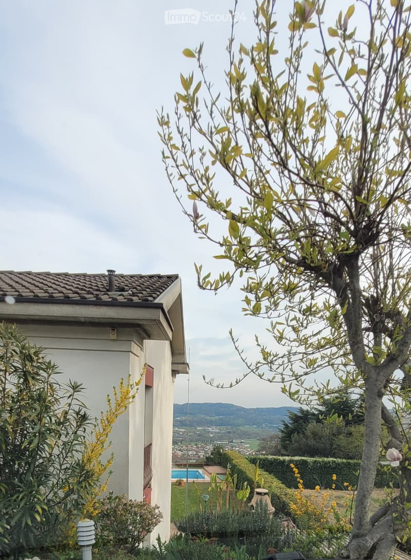 Sale of a beautiful villa with pool in Mendrisiotto (2)