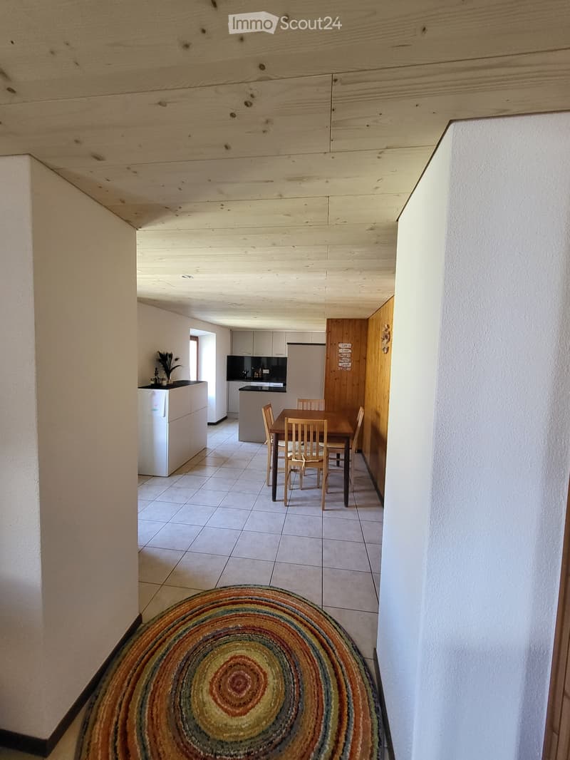 Appartamento ristrutturato (4)