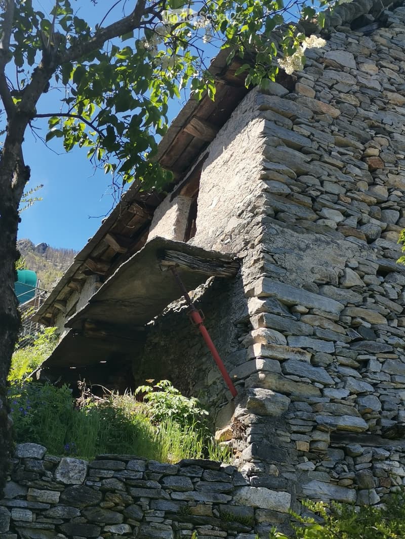 Vendo vecchia stalla (2)