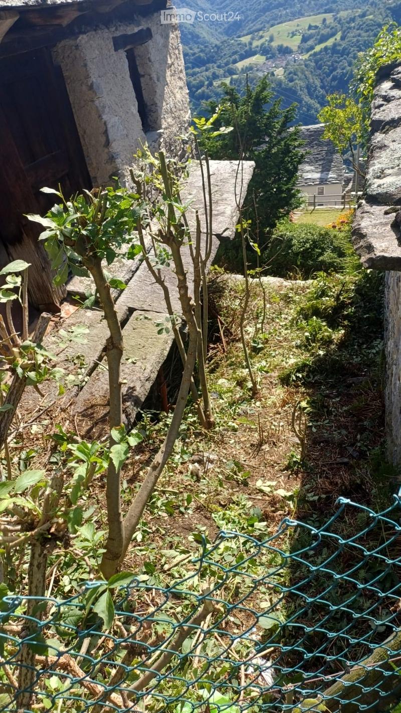 Vendo vecchia stalla (5)