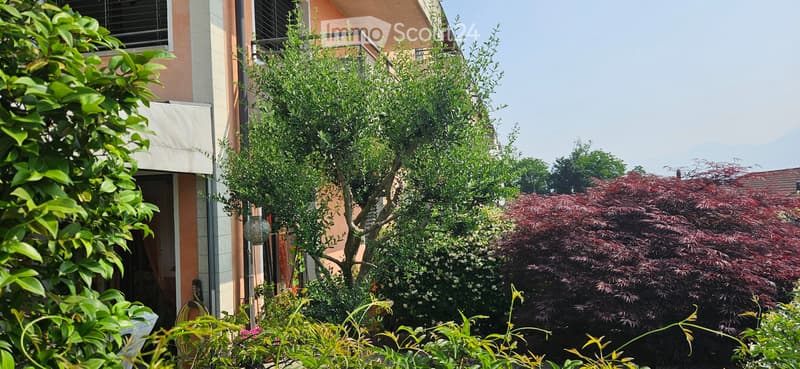 Appartement PPP mit Seeblick und Garten (3)