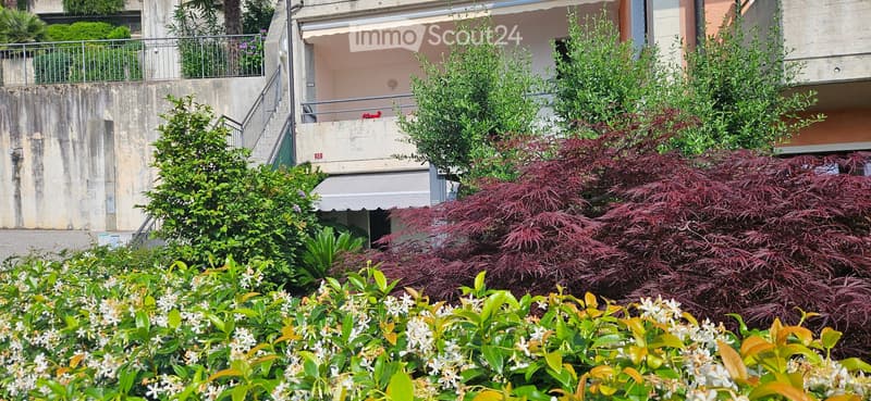 Appartement PPP mit Seeblick und Garten (2)