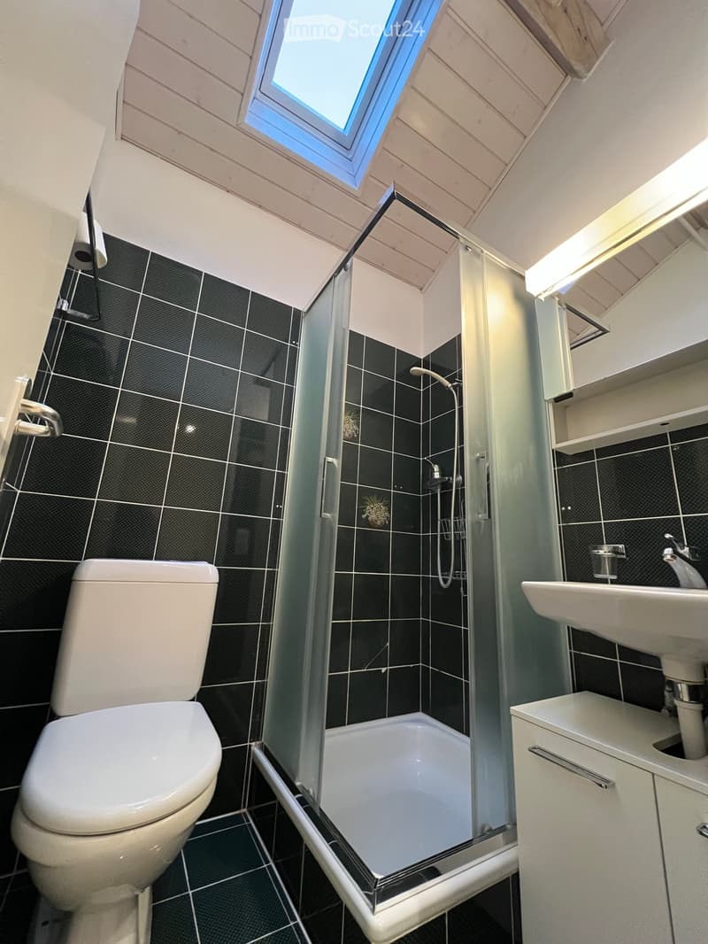 Mansardenwohnung mit 2.5 Zimmern im Herzen von Lugano (4)