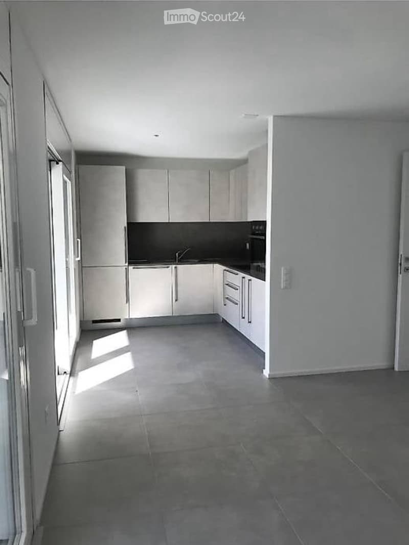 Modern 3.5-room apartment in Giubiasco in a strategic location (2)