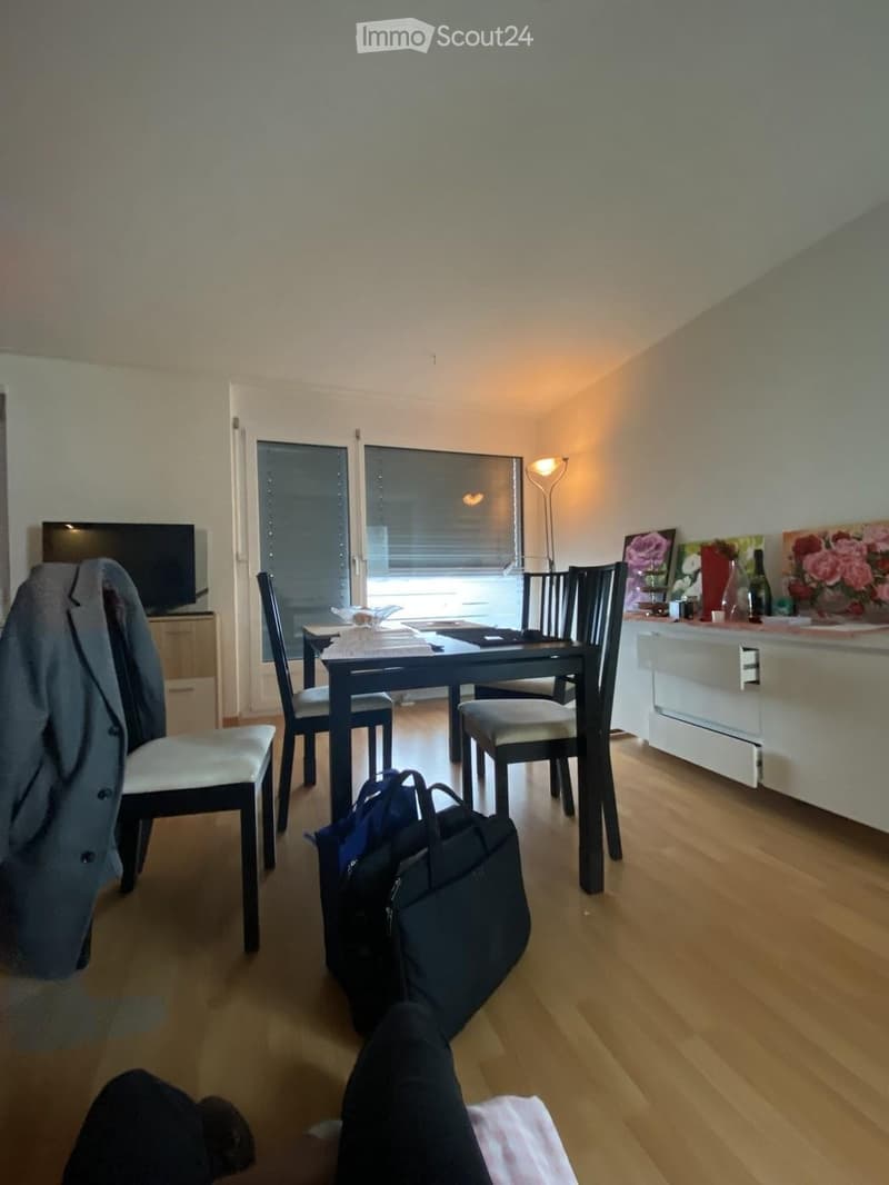 Appartamento di 1,5 locali di alta qualità con balcone e arredato (4)