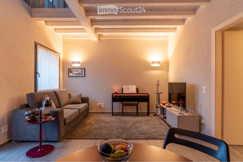 Affittasi Duplex con accesso diretto al lago e giardino (5)