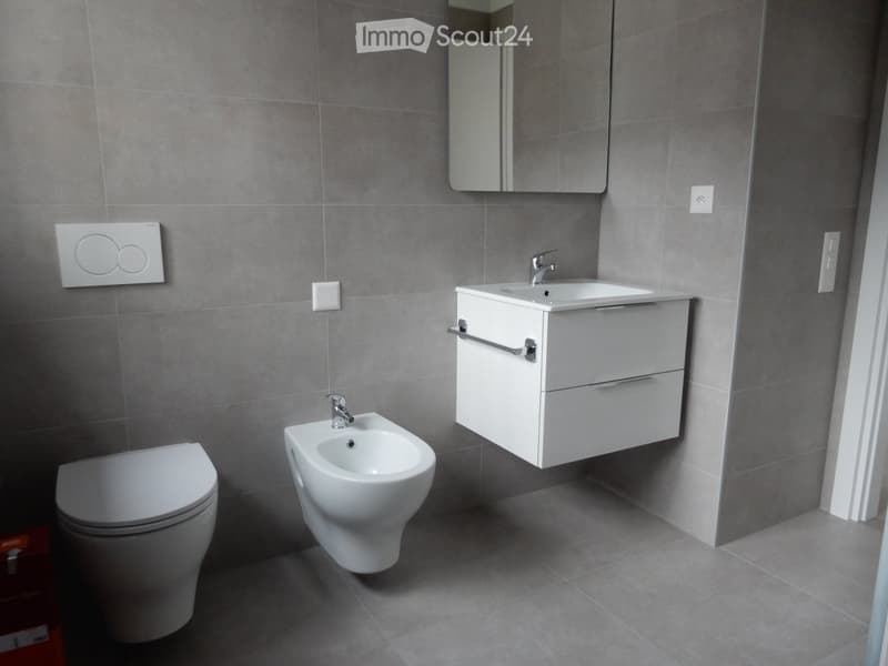 GIUBIASCO for rent 3,5 from June 1, 2026 (3)