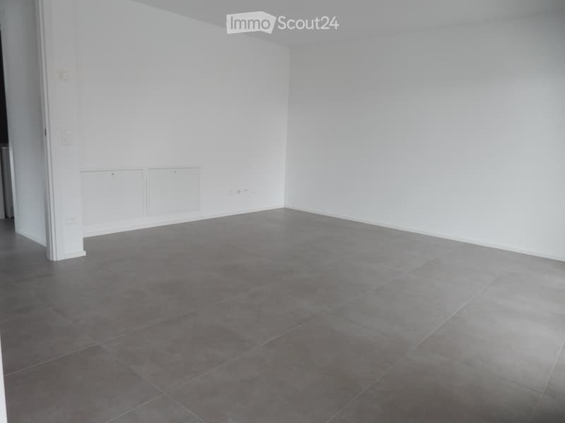 GIUBIASCO for rent 3,5 from June 1, 2026 (2)