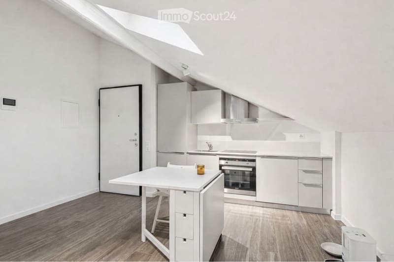 Modern 1.5 room apartment for rent (4)