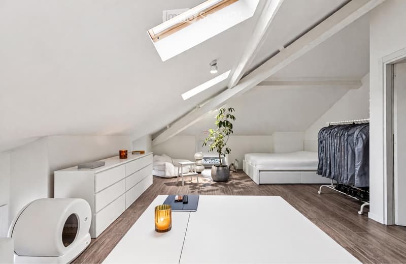Modern 1.5 room apartment for rent (3)