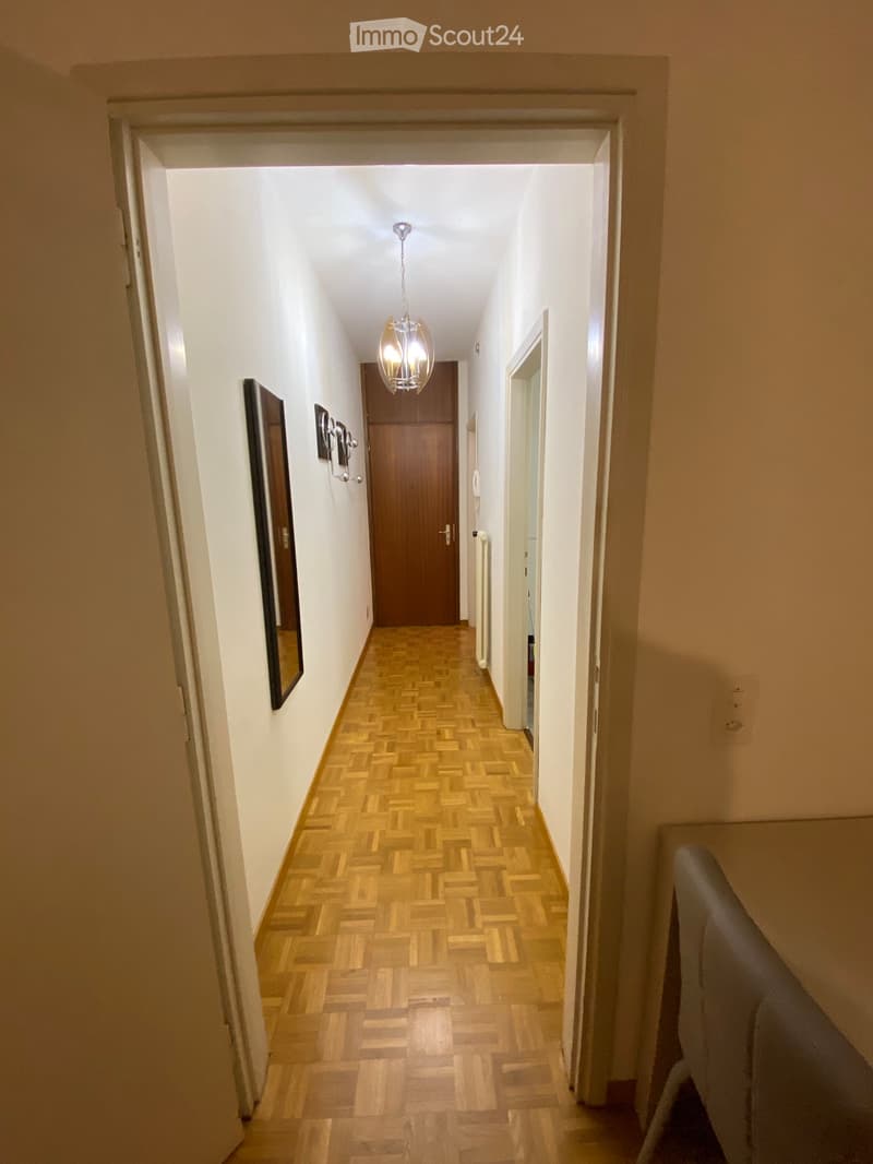 Zweieinhalb-Zimmer-Wohnung gegenüber dem Civico-Krankenhaus (4)