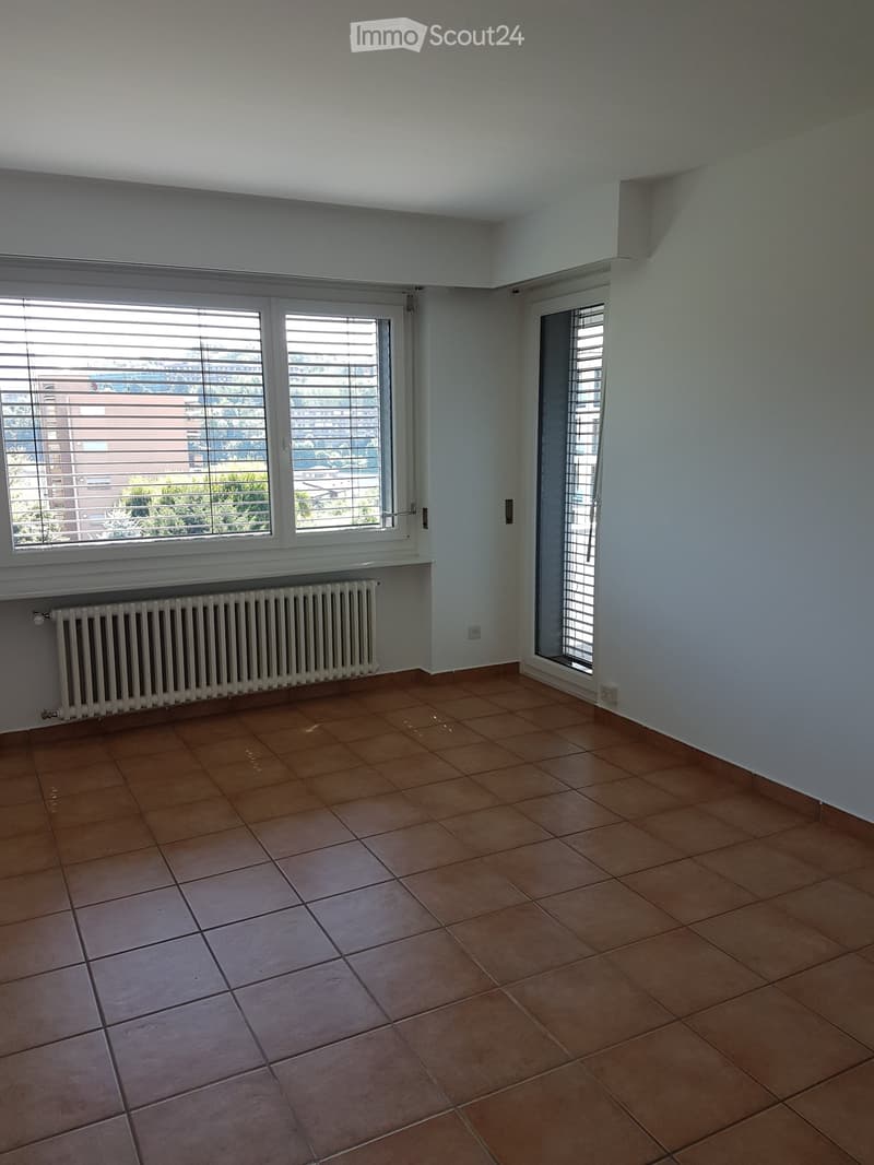 Wohnung 3.5 Zimmer mit weiter Sicht in Vacallo (2)