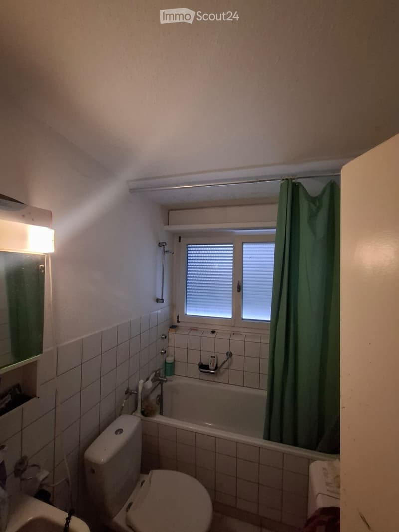 4.5 room apartment for rent (2)