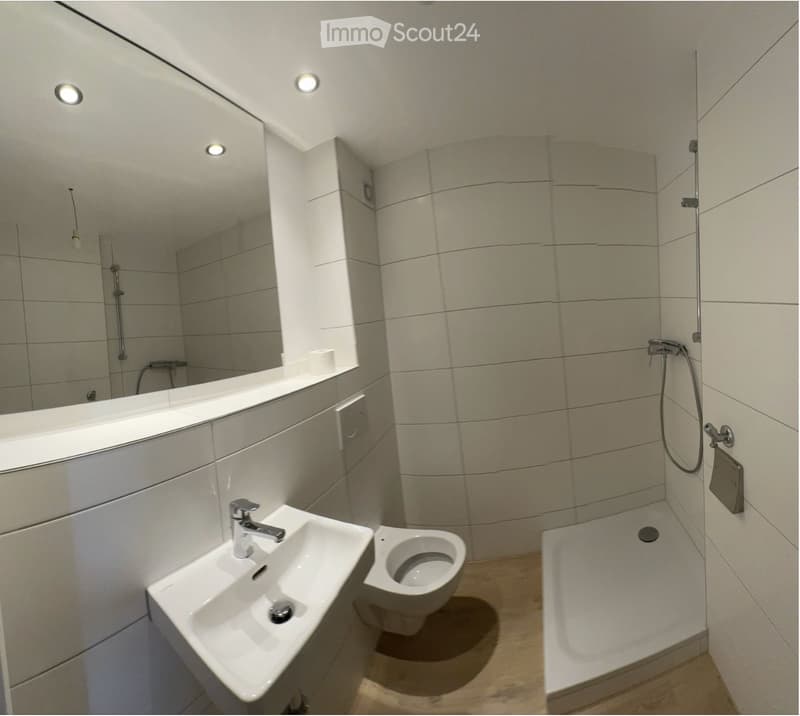 1,5 Zimmer bei Murten (4)