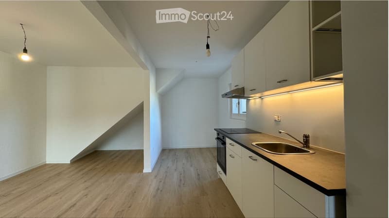 1,5 Zimmer bei Murten (1)