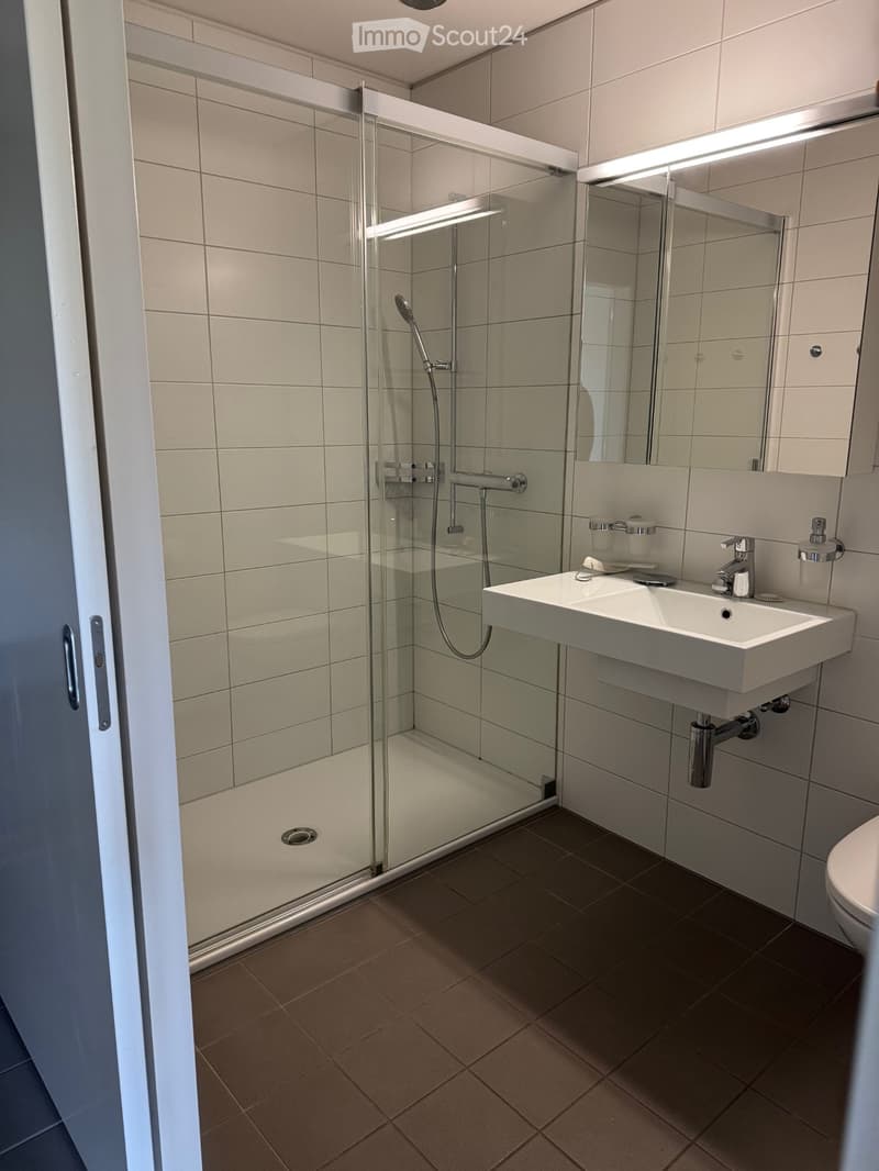 4 1/2-Zimmerwohnung mit Garten befristet (bis 31.12.2027) (4)