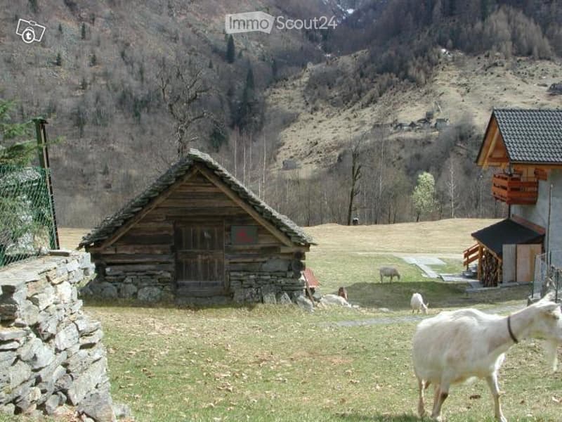 Rustico zur Renovierung in NIVA Campo Vallemaggia (3)