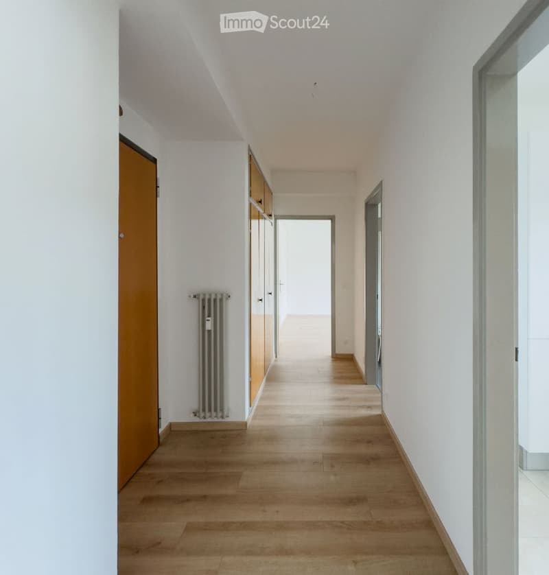 I'm looking for a sublessee for a 2.5-room apartment in San Pietro di Stabio (3)