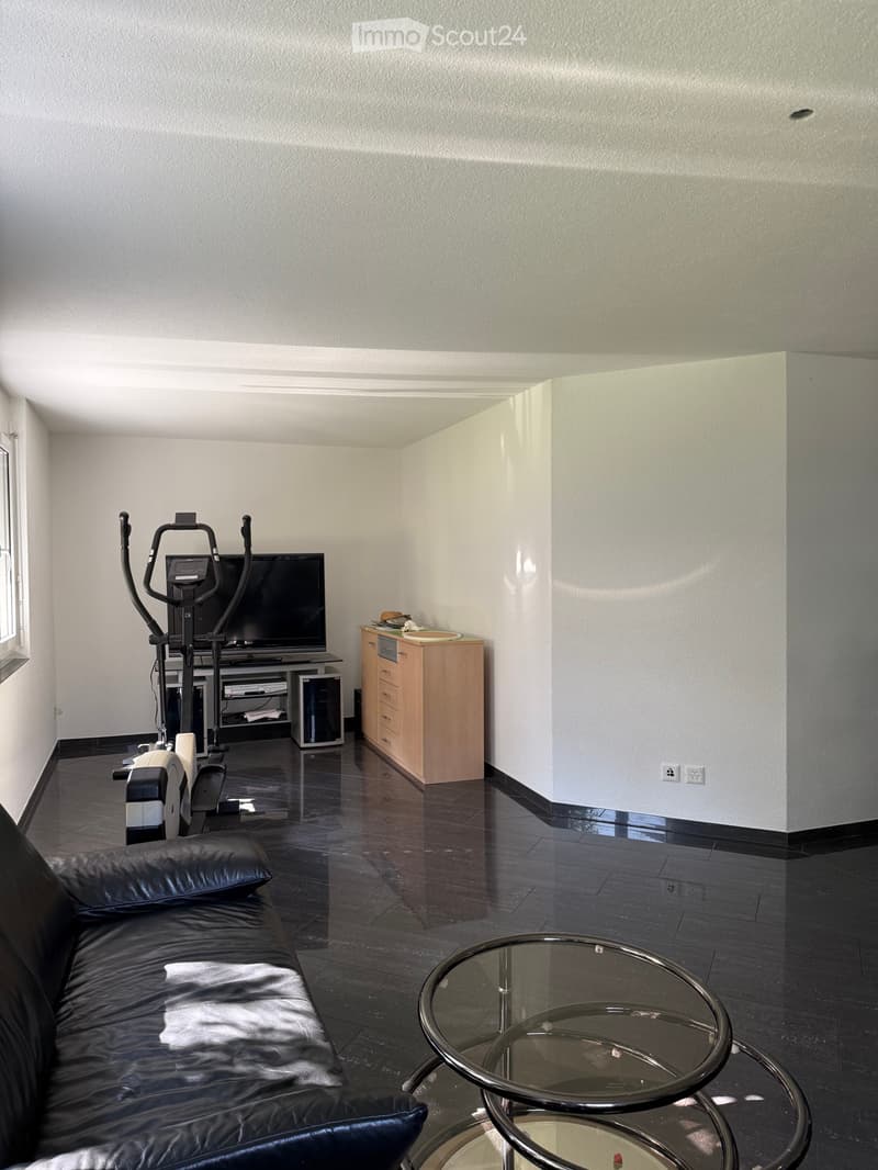 Leben mit Weitblick - modernes und helles EFH (4)