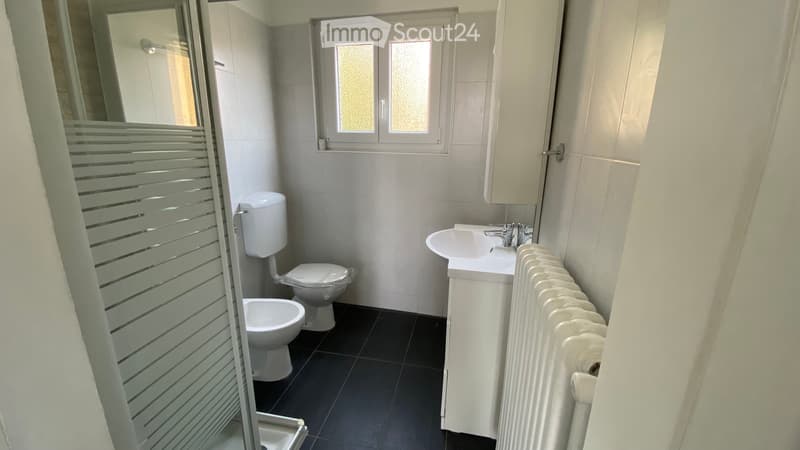 Bright 3.5-room apartment in Morbio Inferiore (4)