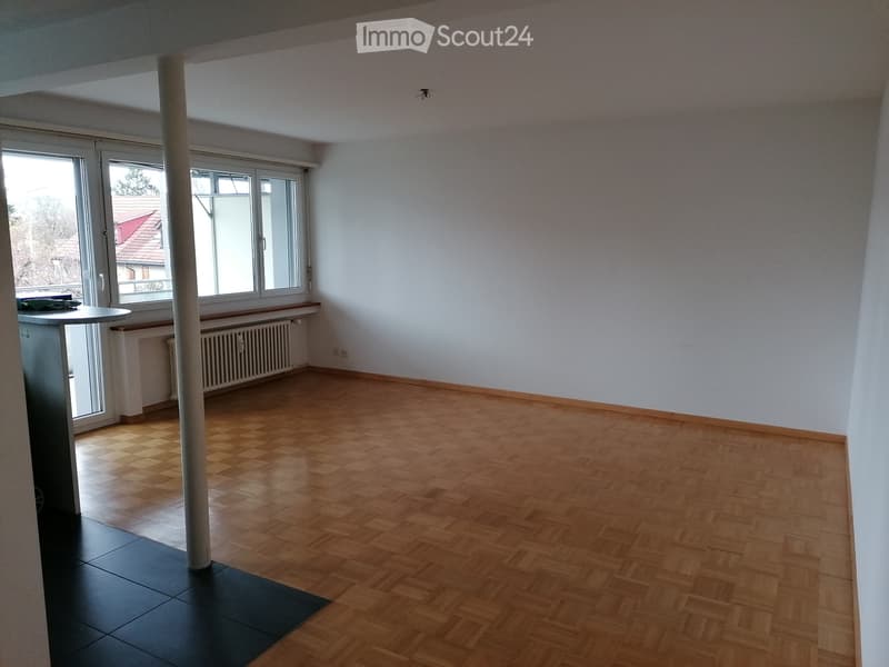 3 Bedroom Apartment in Winterthur (2)
