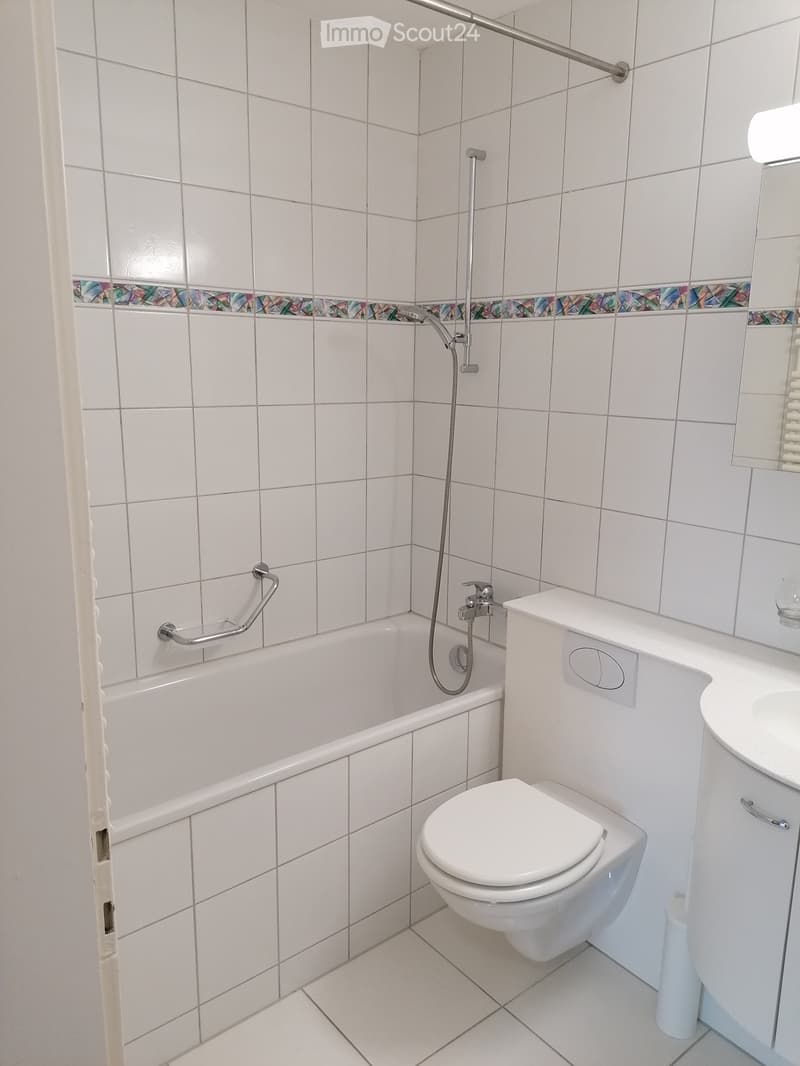 3 Bedroom Apartment in Winterthur (3)