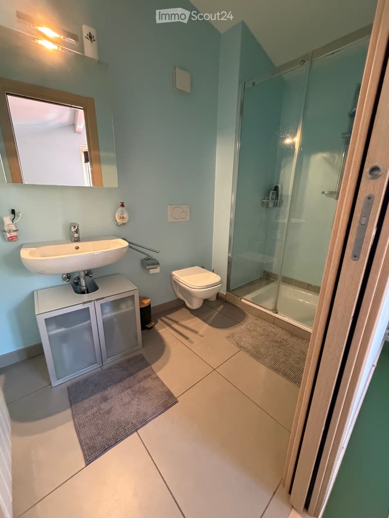 Furnished 2.5-room duplex with loft Riva San Vitale (5)
