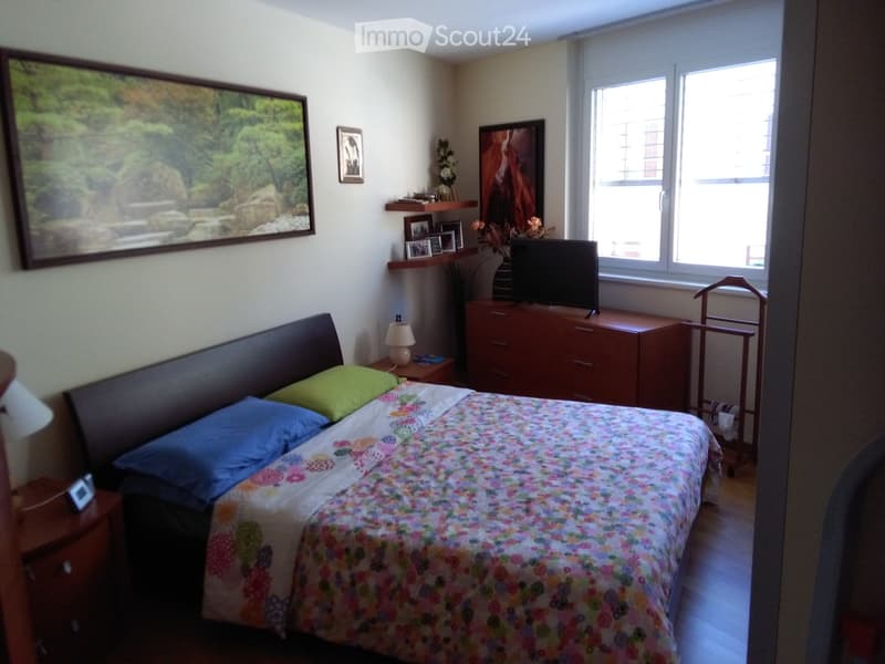 Apartment on the 1st floor in Vacallo (3)