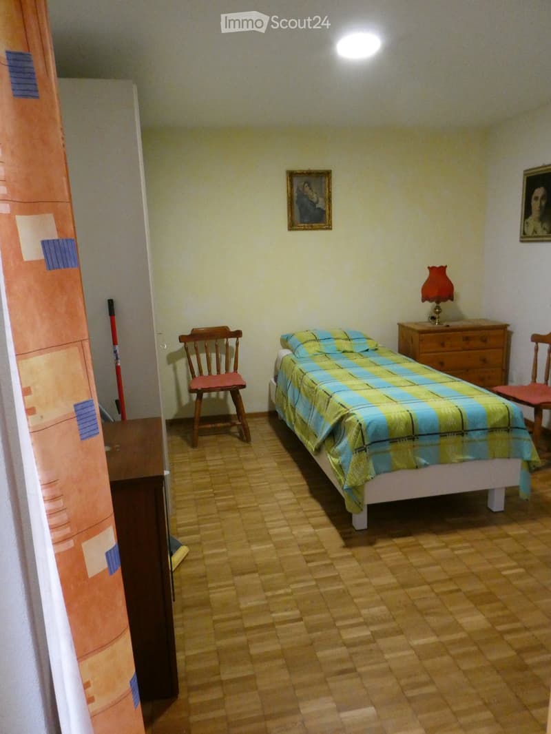 Schönes und gemütliches Apartment im Zentrum von Cadro (4)