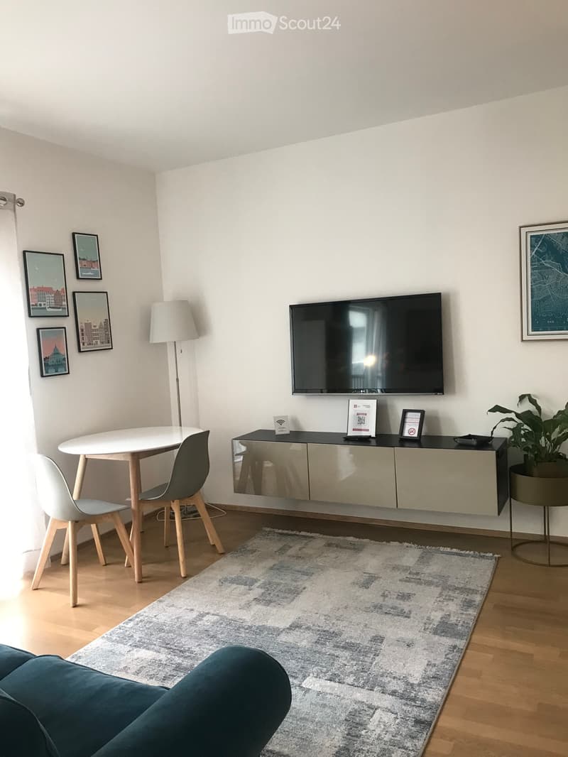 Geräumiges möbliertes Einzimmerapartment 50mq (4)