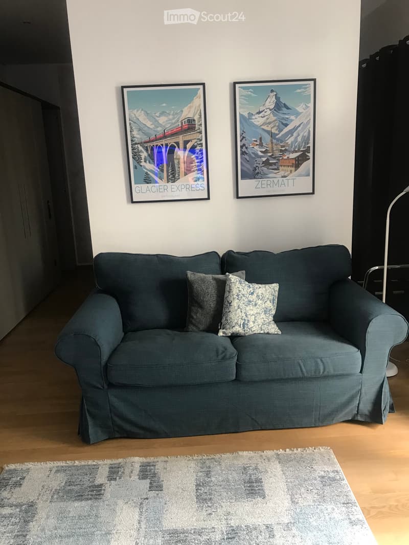 Geräumiges möbliertes Einzimmerapartment 50mq (2)