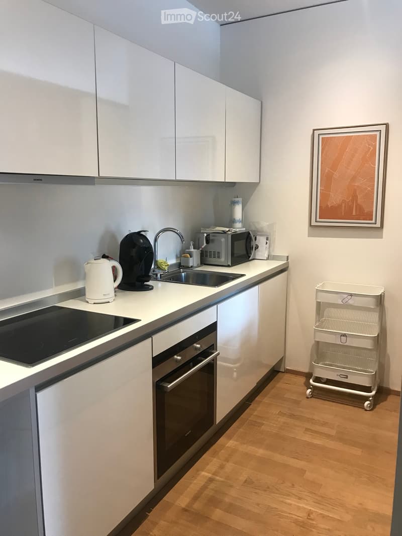 Geräumiges möbliertes Einzimmerapartment 50mq (5)