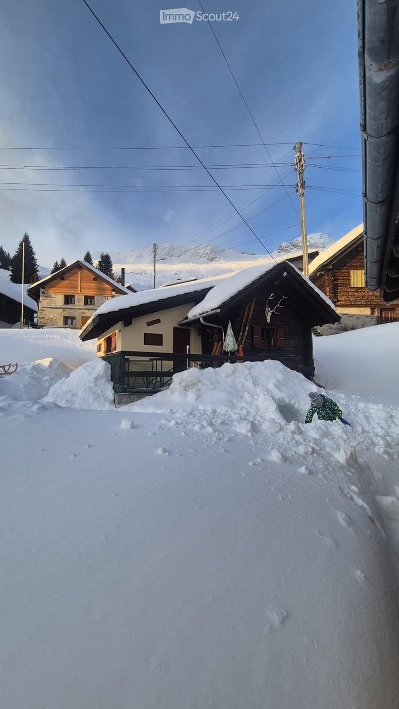 Chalet habitable toute l'année, rénové, meublé. (2)