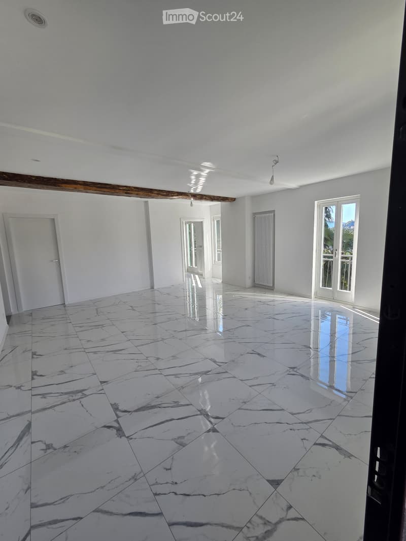 4.5-Room Apartment (4)