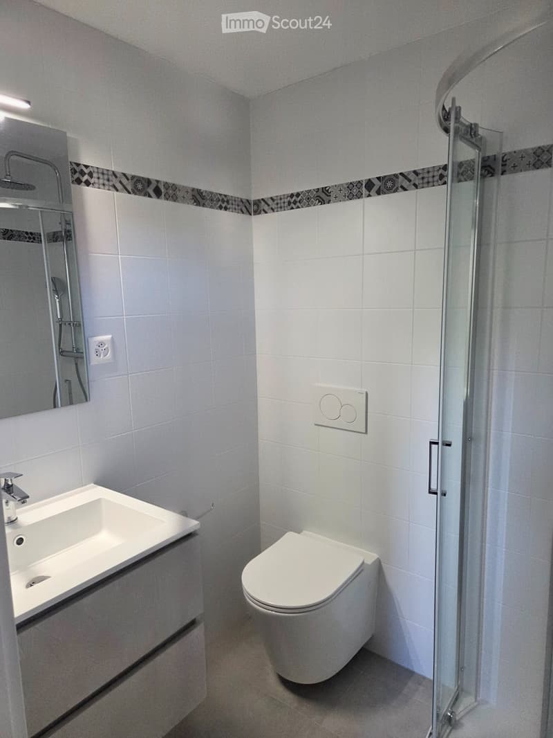 4.5-Room Apartment (2)