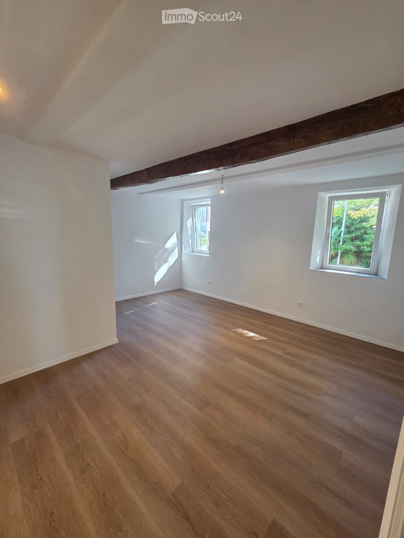 4.5-Room Apartment (3)