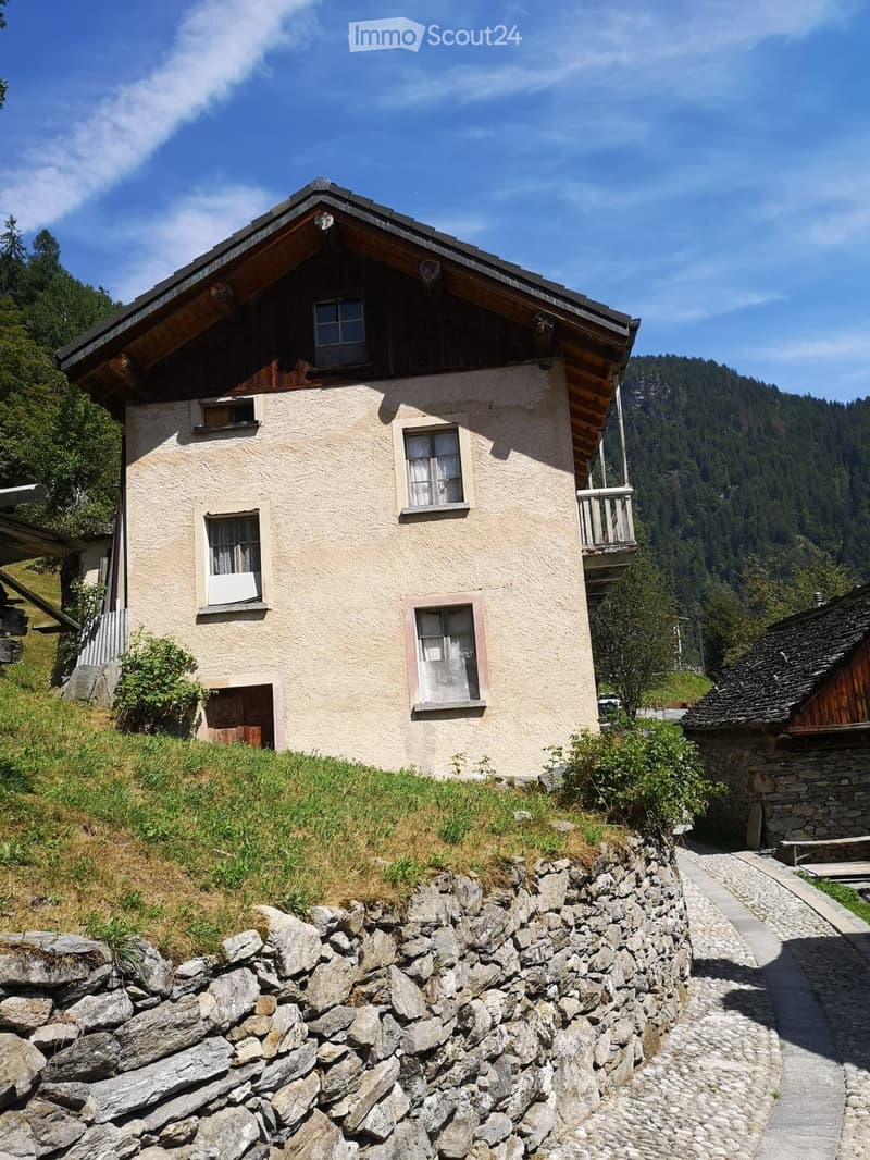 Maison unifamiliale à rénover avec grand terrain (2)