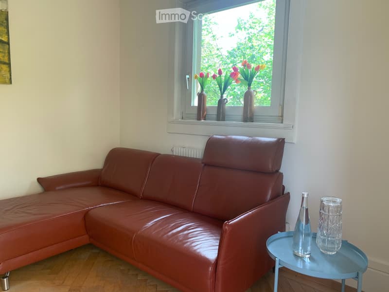 3 Zimmer Wohnung 1. Stock in Solothurn sucht Nachmieter (3)