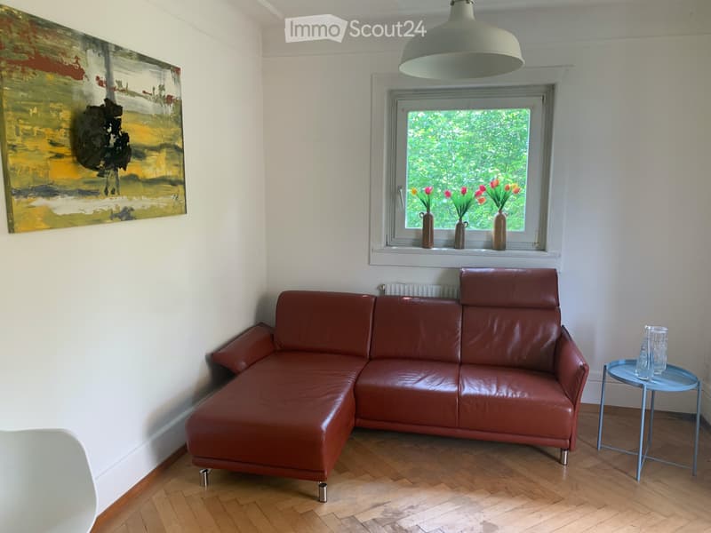 3 Zimmer Wohnung 1. Stock in Solothurn sucht Nachmieter (2)