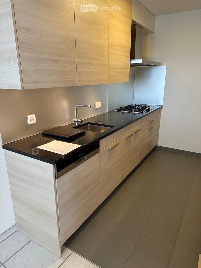 To rent in Bern-Wittigkofen with a view (5)