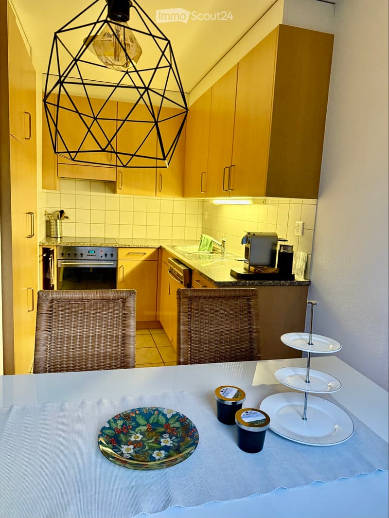 Möblierte Wohnung in Allschwil (3)