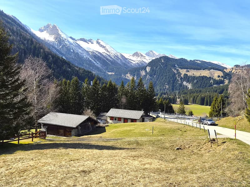Schönes Doppelchalet mit Grundstück (5)