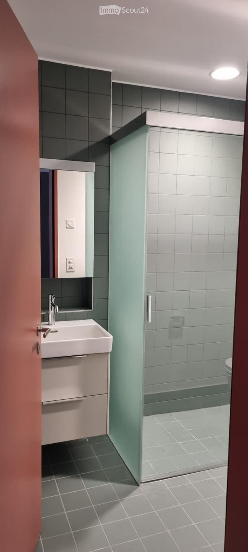 Great new apartment (3.5 rooms) in Altstadt SH looking for a sublessee (3)