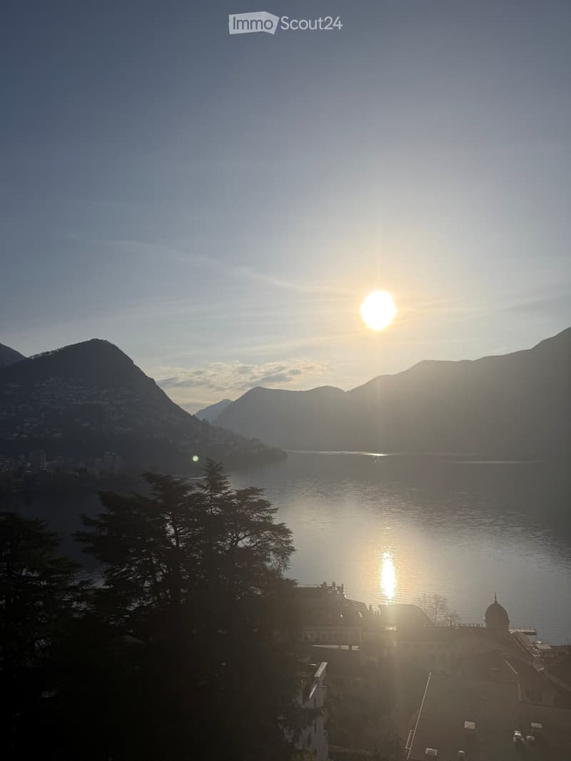 Attic 3.5 rooms with lake view, Lugano-Contract takeover (4)