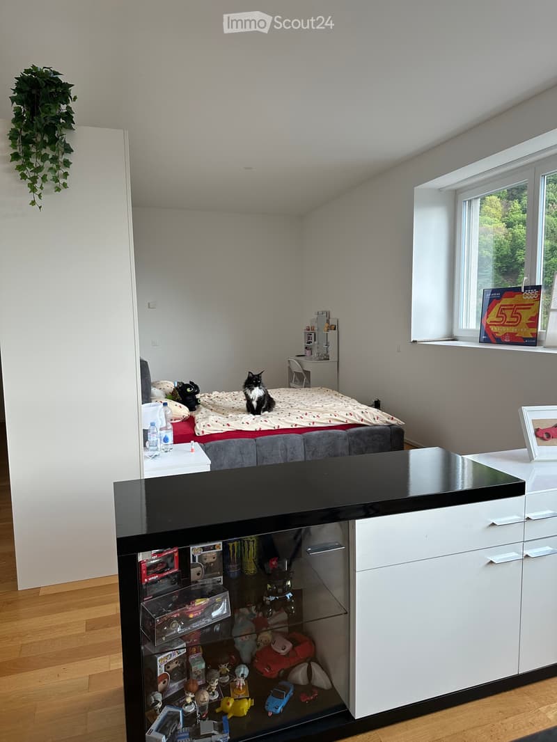 Gesucht: Einzieher für 2,5-Zimmer-Wohnung in Arbedo (4)