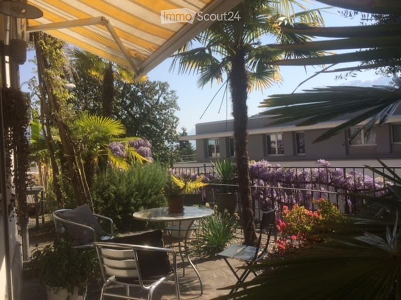 Charming Studio Yucca in Ascona (1)