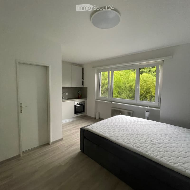 Appartamento Monolocale zur Verkauf in Minusio (3)