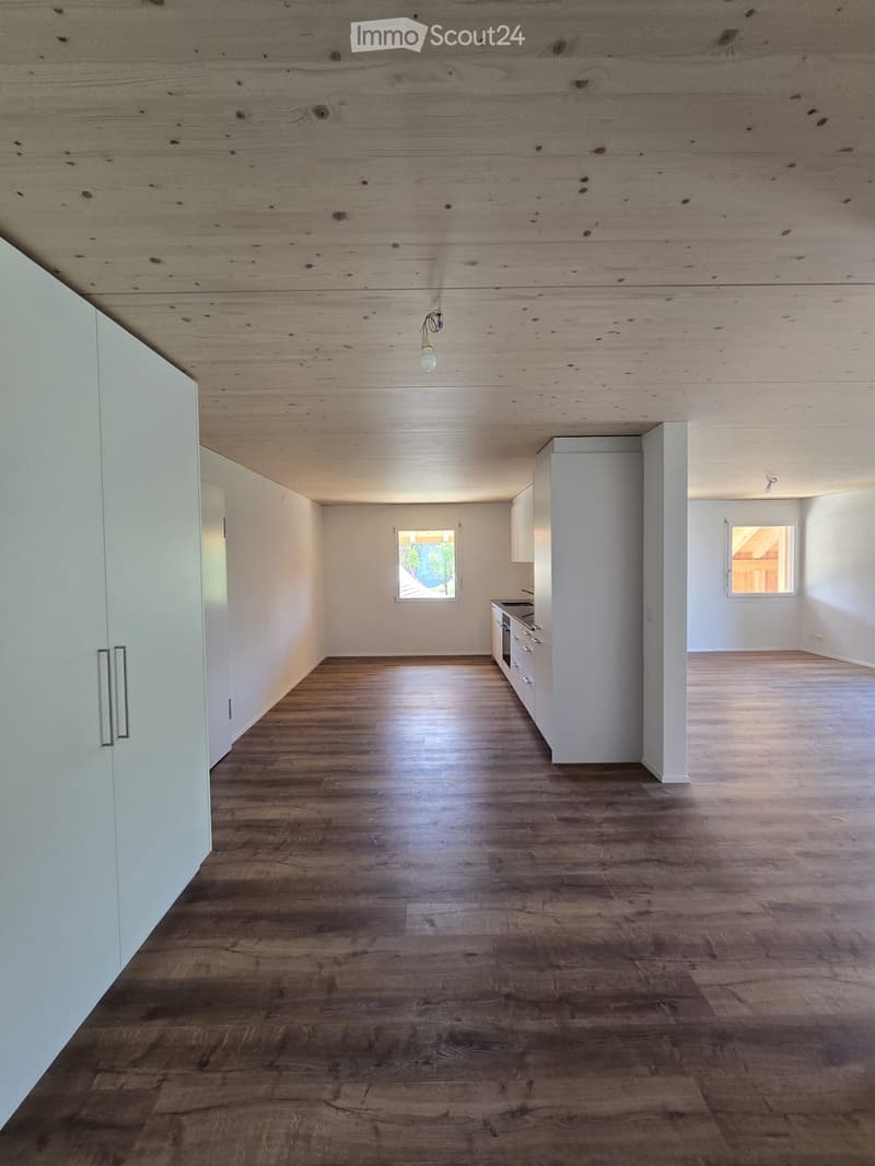 First rental: 2.5 room apartment with a view (1)