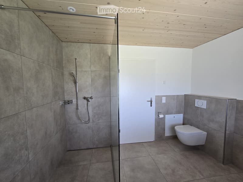 First rental: 2.5 room apartment with a view (3)