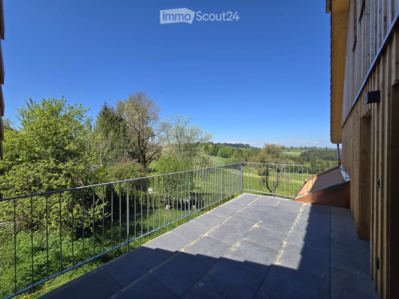 First rental: 2.5 room apartment with a view (4)